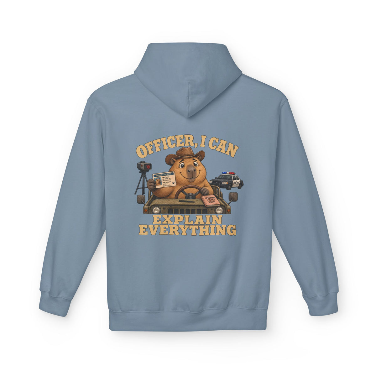 I Can Explain Unisex Hoodie