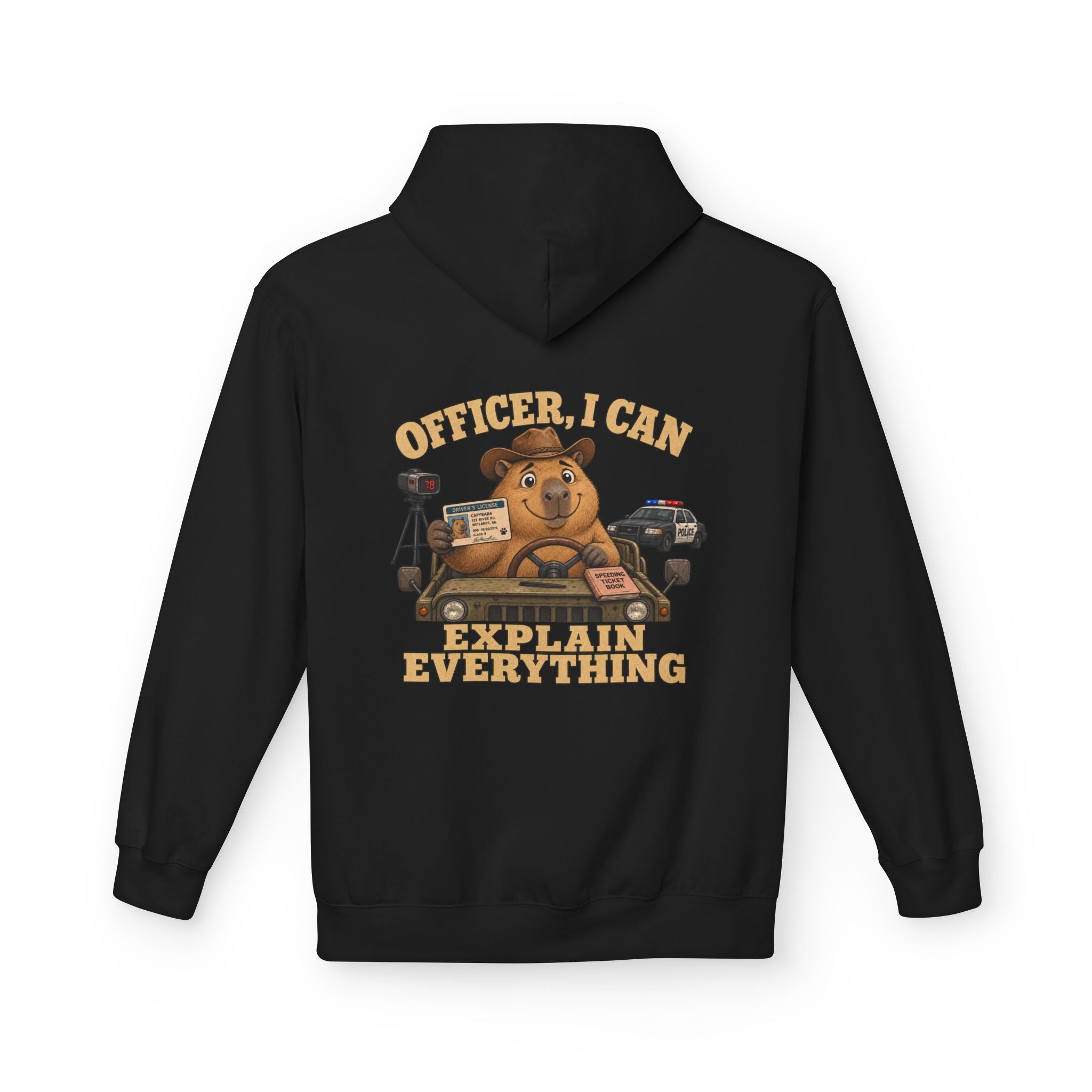 I Can Explain Unisex Hoodie