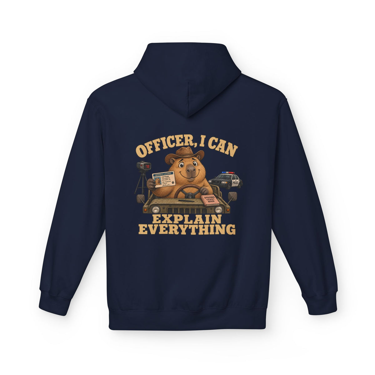 I Can Explain Unisex  Hoodie