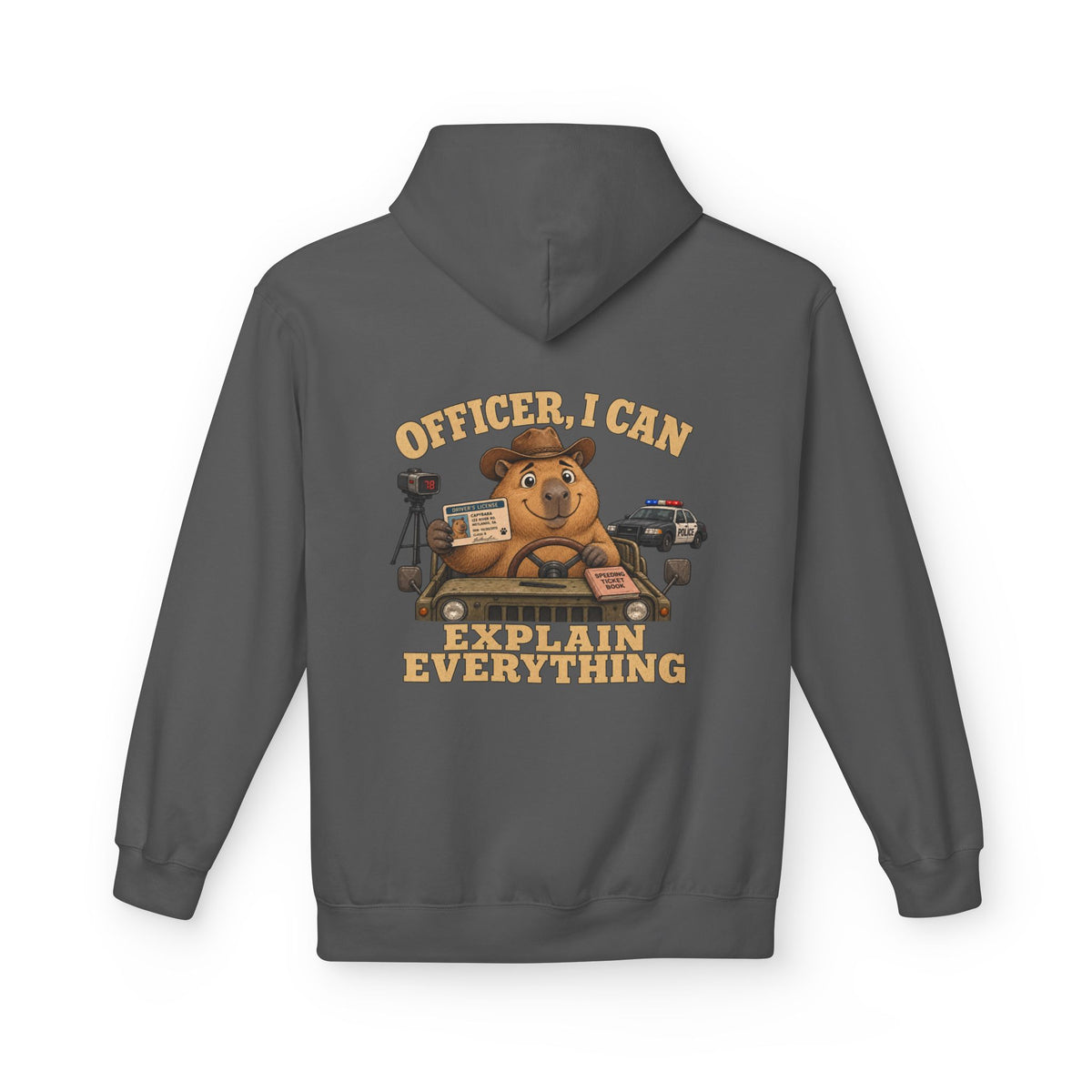 I Can Explain Unisex  Hoodie